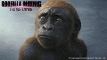 a poster for godzilla kong the new empire with a gorilla