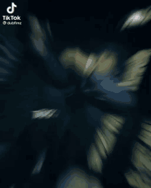 a blurry picture of a butterfly flying through the air .