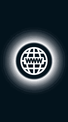 an icon of a globe with the word www in the center