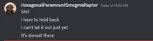 a screenshot of a discord conversation with the name hexagonal paramount smegmaraptor