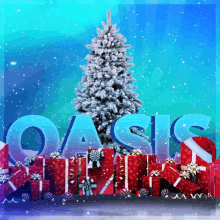 the word oasis is on a blue background with a christmas tree