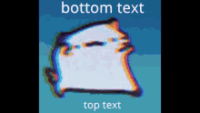 a picture of a cat with the words " bottom text " and " top text " below it