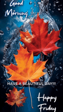 a good morning and happy friday greeting card with autumn leaves in the water