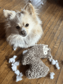 a small dog sitting next to a stuffed animal that has been destroyed