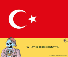 a cartoon of a skeleton in front of a turkey flag with the question what is this country