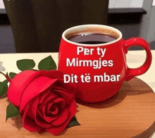 a red cup of coffee with the words `` per ty mirmjes dit te mbar '' written on it next to a red rose .