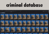 a screenshot of a criminal database with a bunch of cats on it