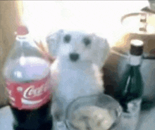 a bottle of coca cola sits on a table next to a stuffed animal