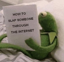 a kermit the frog is holding a book that says how to slap someone through the internet