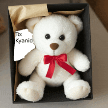 a white teddy bear with a red bow is in a black box with a sticker that says " to : kyanid "