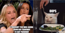 two women are sitting at a table with a plate of food and a cat is pointing at them .