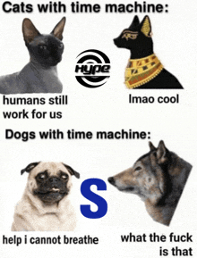 cats with time machine humans still work for us dogs with time machine s help i cannot breathe what the fuck is that