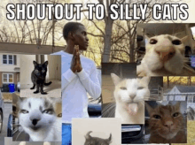 a collage of cats and a man with the words shoutout to silly cats at the top