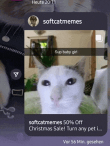 a snapchat of a cat with the words softcatmemes on the bottom