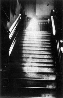 a black and white photo of a set of stairs with a light shining on them