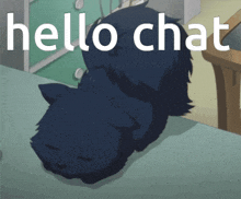 a black cat laying on a table with the words hello chat below it