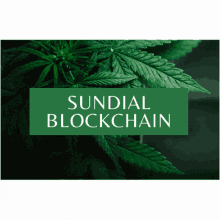 a green sign that says sundial blockchain in white letters