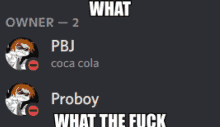 a screenshot of a discord conversation between pbj coca cola and proboy