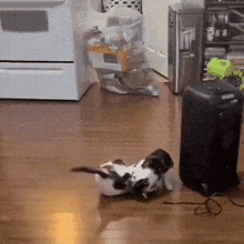 two cats are playing on a wooden floor in a kitchen with a bag of kraft singles in the background