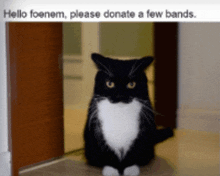 a black and white cat is sitting in a doorway with the words " hello foenem please donate a few bands " above it