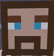 a picture of a man with a beard in minecraft