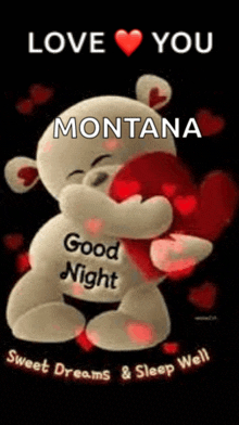 a teddy bear is hugging a heart with the words `` love you montana '' written on it .