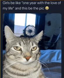 a picture of a cat with the caption girls be like " one year with the love of my life " and this be the pic