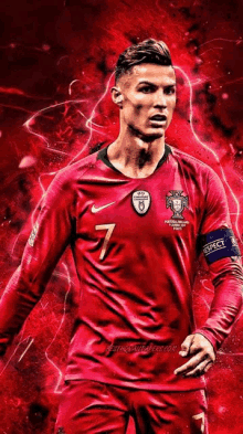 cristiano ronaldo is a soccer player who plays for portugal .