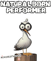 a cartoon of a seagull standing on a wooden post with the words natural born performer below it