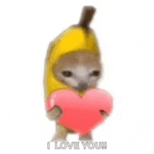 a kitten wearing a banana costume is holding a pink heart .