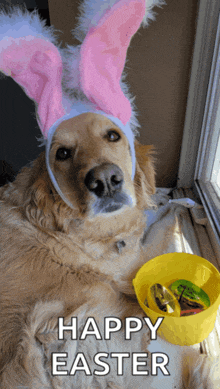 a dog wearing bunny ears and a basket of candy says happy easter
