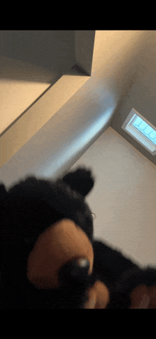 a black teddy bear is laying in a room with a window