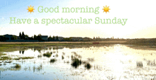 a sign that says good morning have a spectacular sunday on it