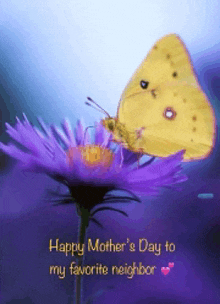 a happy mother 's day card with a butterfly on a flower