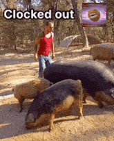 a man in a red tank top stands in front of a herd of pigs with the words " clocked out " above them