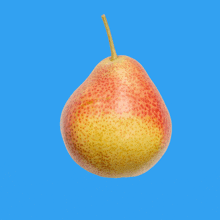 a red and yellow pear with a yellow stem against a blue background