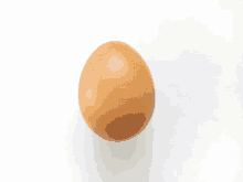 a brown egg on a white surface with a white background