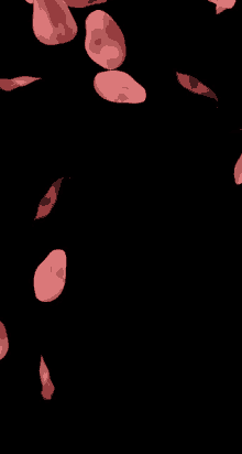 a bunch of pink petals falling on a black background