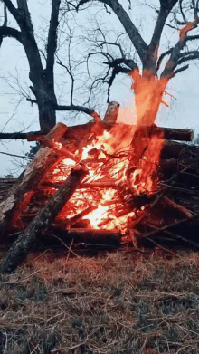 a large pile of logs is burning in the middle of a field .