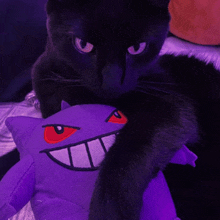 a black cat is holding a purple stuffed animal with red eyes