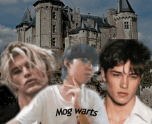 a man wearing a white shirt that says mog warts stands in front of a castle