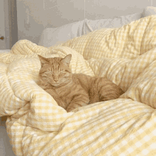 a cat is laying on a bed with yellow and white checkered sheets