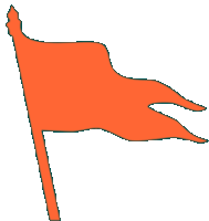 a cartoon drawing of an orange flag with a white background