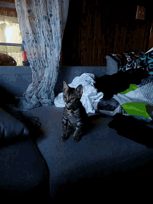 a cat is laying on a couch next to a blanket that says ' i love you ' on it