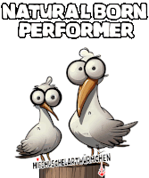 a cartoon of two seagulls standing next to each other with the words natural born performer above them