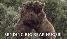 two bears hugging each other in the woods with the words `` sending big bear hugs '' .