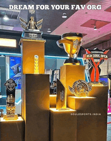 several trophies are displayed in a room with the words dream for your fav org