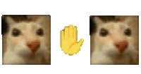 a blurry picture of a cat 's face and a hand .