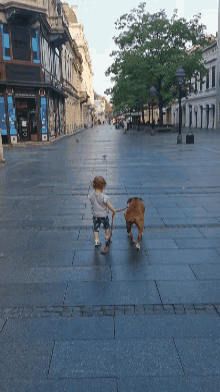 a boy walking a dog on a sidewalk in front of a building that says ' a & a ' on it