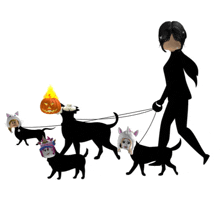 a woman is walking a group of black dogs with halloween hats on